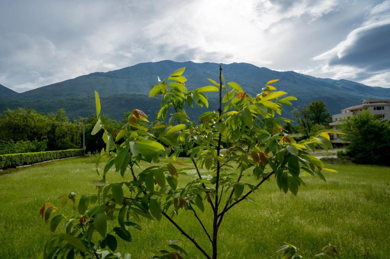 Seosko Domacinstvo Jovanovic Danilovgrad Exterior foto